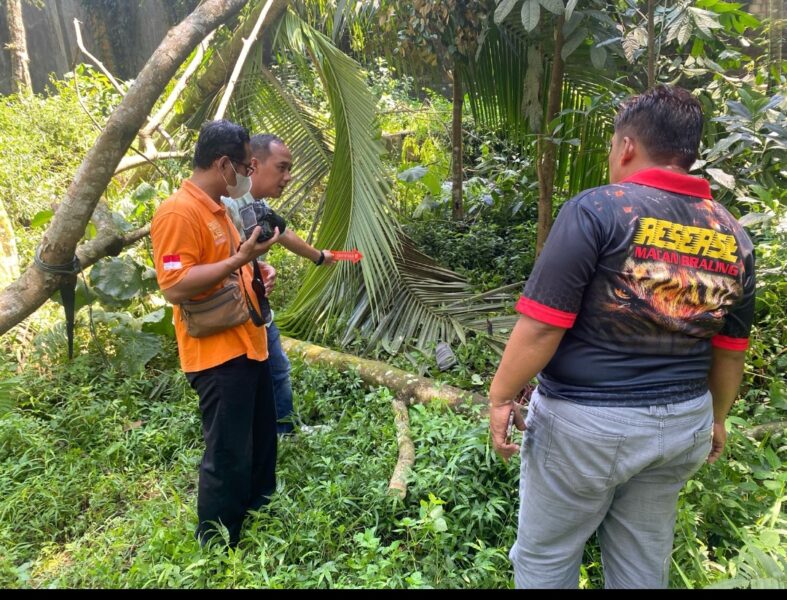 Pangkas Ranting untuk Kayu Bakar, Warga Bojongsari Meninggal Dunia Jatuh dari&nbsp;Pohon